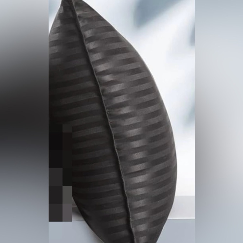 BNWOT-Basic Beyond King Black Striped Pillows(2) - Picture 2 of 3